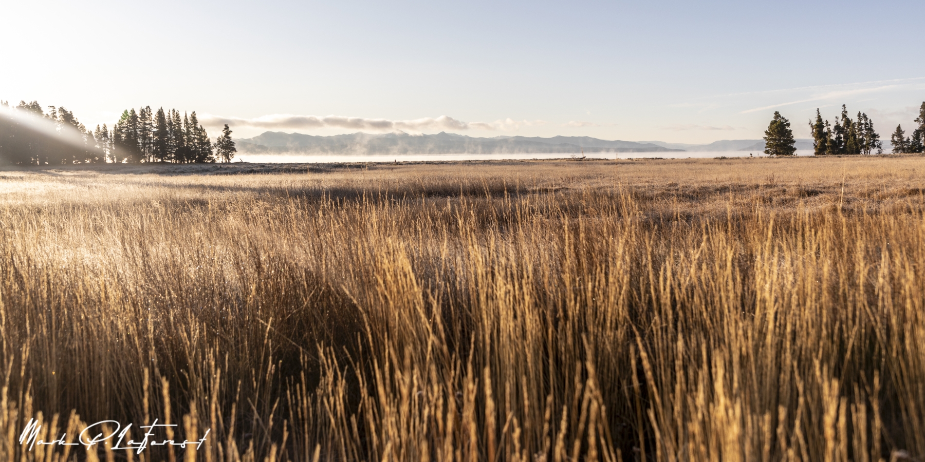 /gallery/north_america/USA/Wyoming/yellowstone/Yellowstone Lake Sept 2024-001_med.jpg